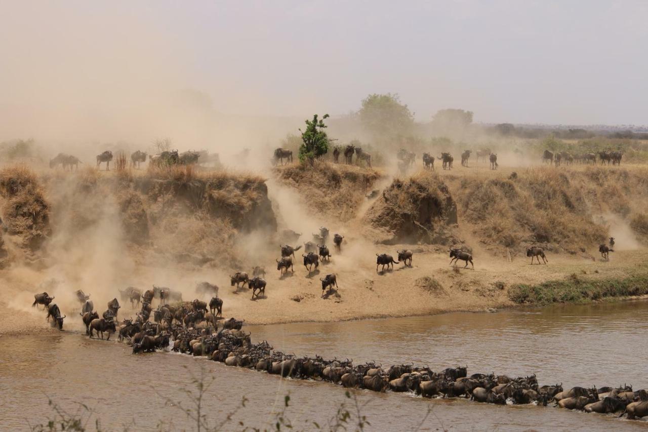 Gnu Mara River Camp Serengeti Eksteriør billede
